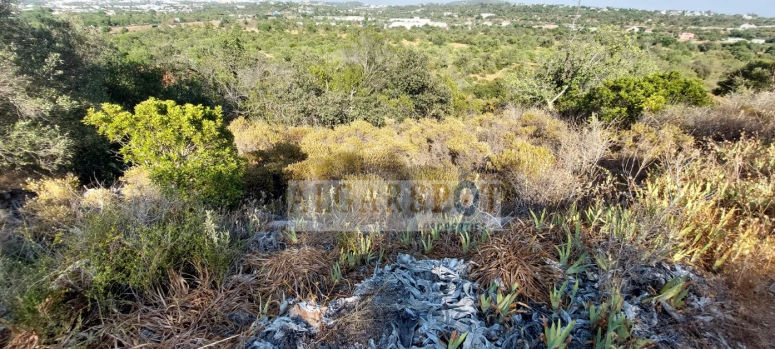 Terreno para Venda em Loule (São Sebastião) Foto 16