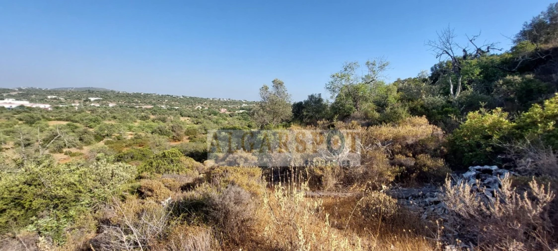 Terreno para Venda em Loule (São Sebastião) Foto 1