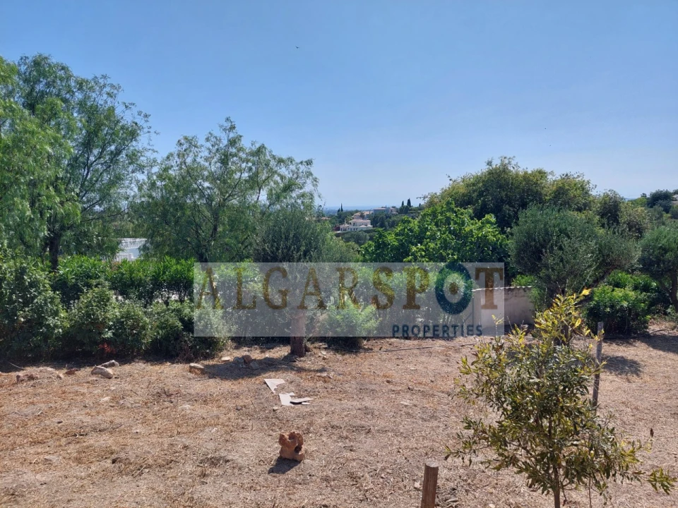 Terreno para Venda em Almancil Foto 20