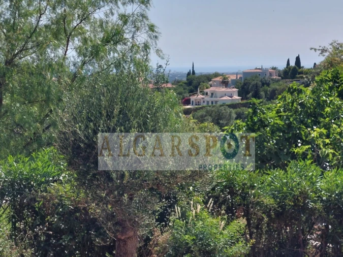 Terreno para Venda em Almancil Foto 18