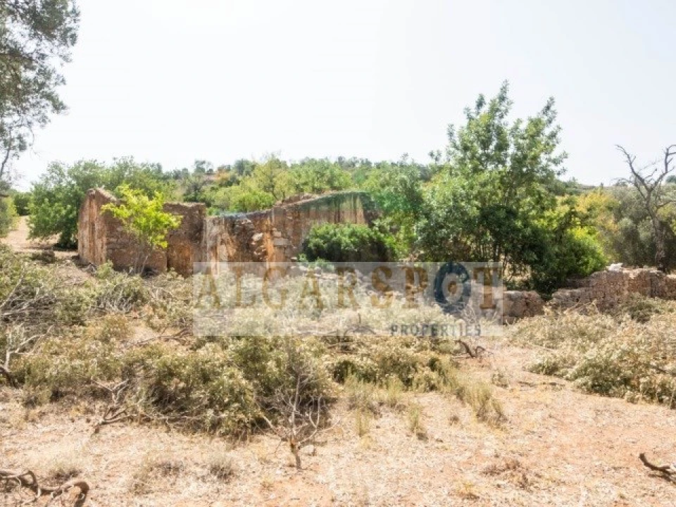 Terreno para Venda em Almancil Foto 8