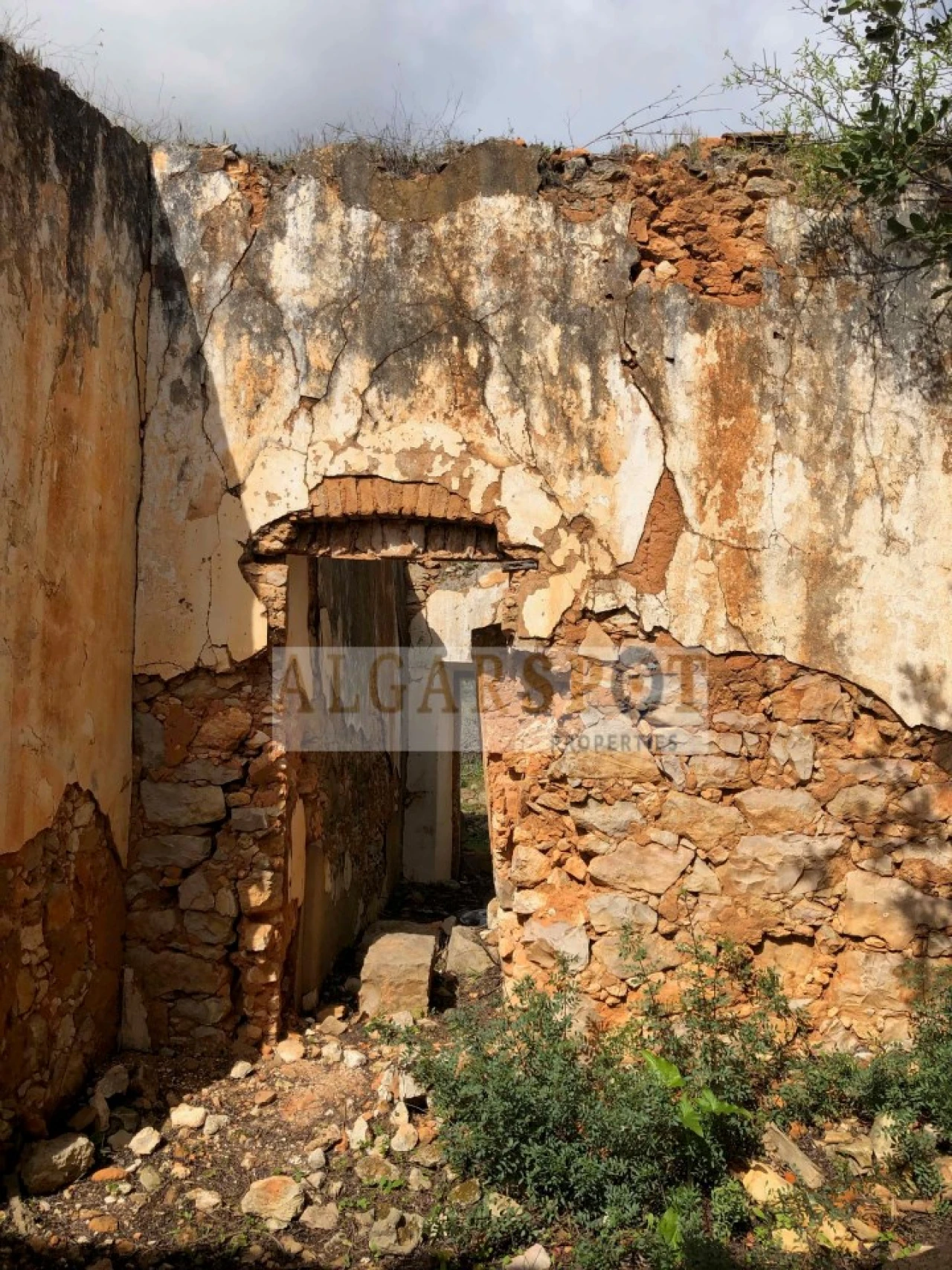 Terreno para Venda em Almancil Foto 9