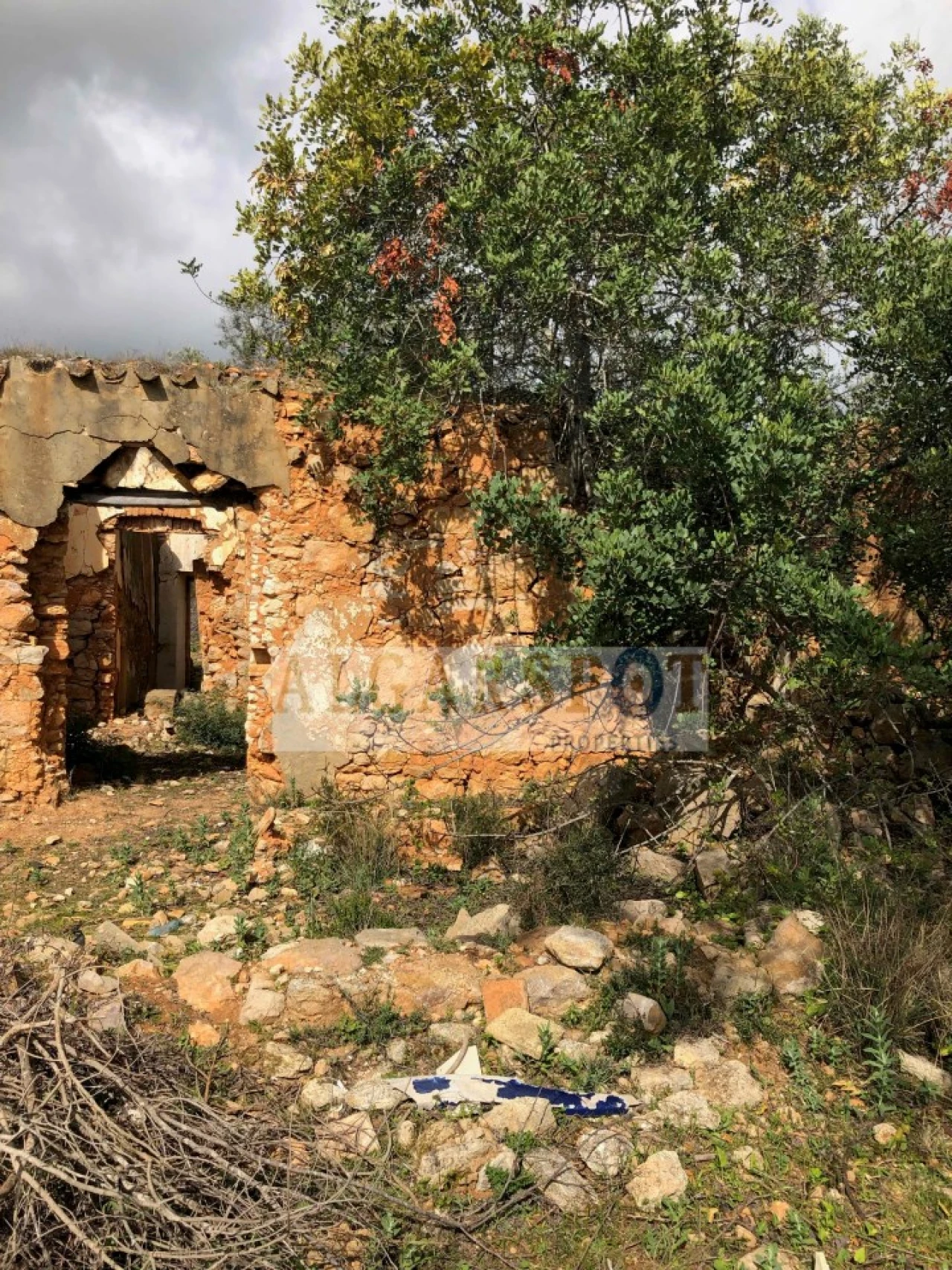 Terreno para Venda em Almancil Foto 10