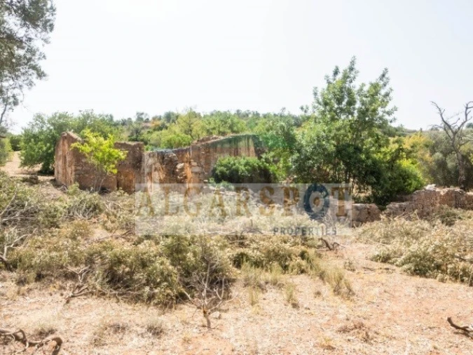 Terreno para Venda em Almancil Foto 8