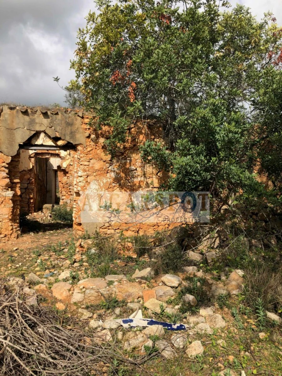 Terreno para Venda em Almancil Foto 10