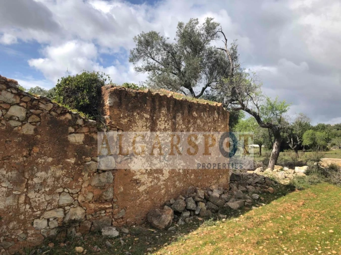 Terreno para Venda em Almancil Foto 13