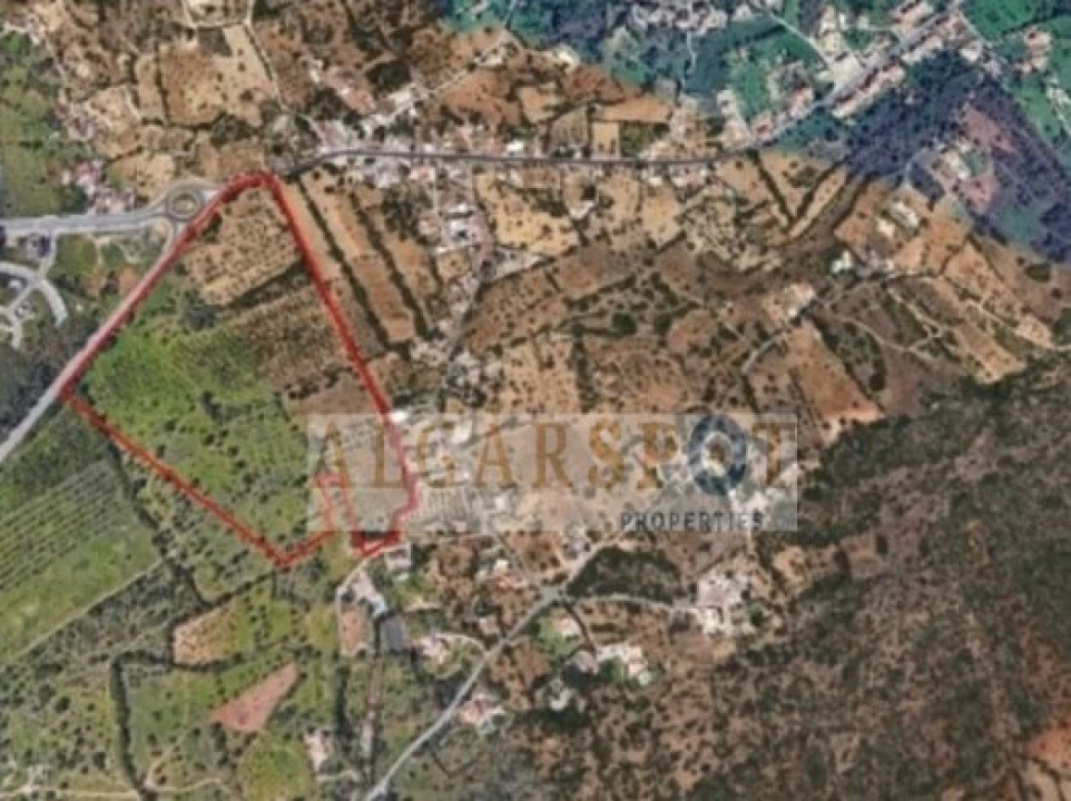 Terreno para Venda em Loule (São Clemente) Foto 5