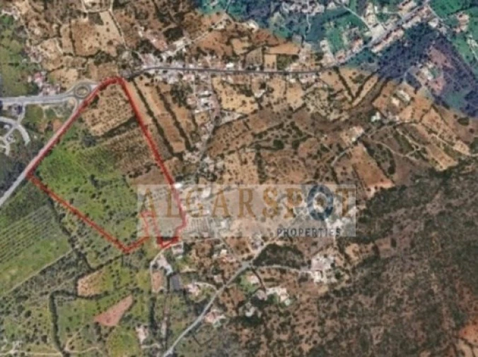 Terreno para Venda em Loule (São Clemente) Foto 5