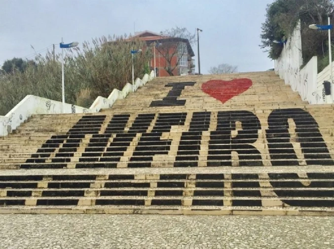 Terreno para Venda em Aradas Foto 6