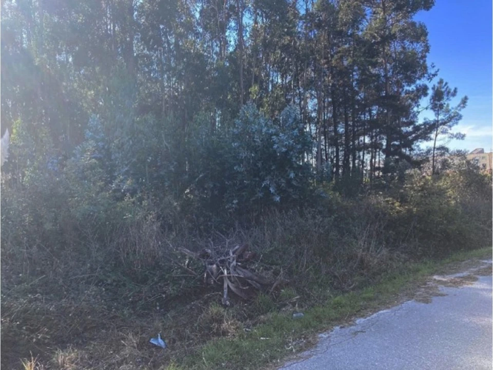 Terreno para Venda em Aradas Foto 1
