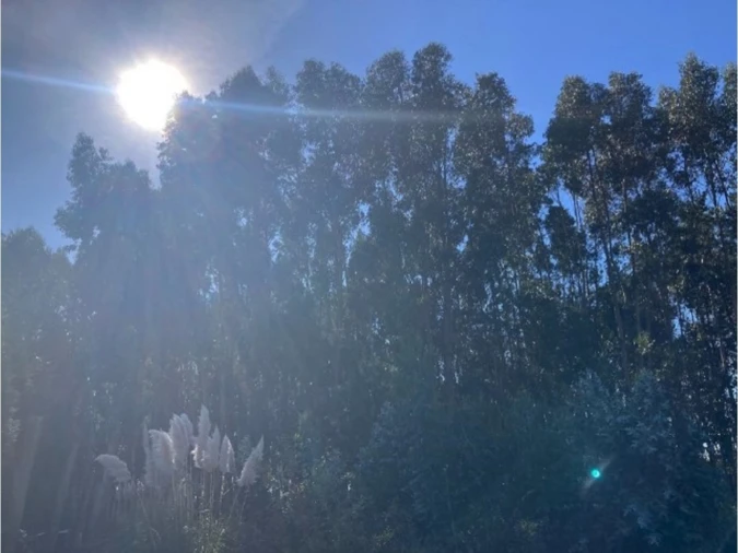 Terreno para Venda em Aradas Foto 3