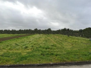 Terreno para Venda em Aradas