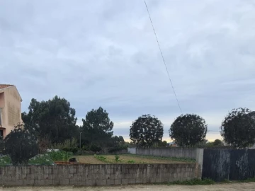 Terreno para Venda em Cacia