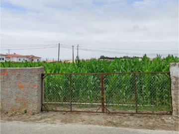 Terreno para Venda em Cacia