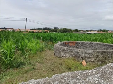 Terreno para Venda em Cacia