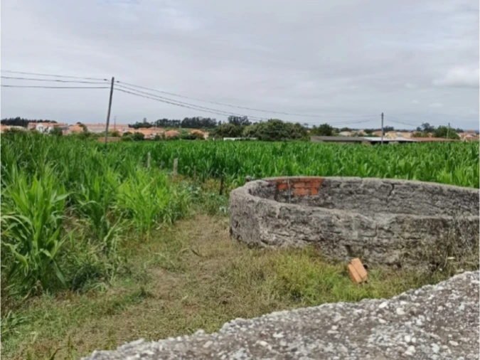 Terreno para Venda em Cacia Foto 2