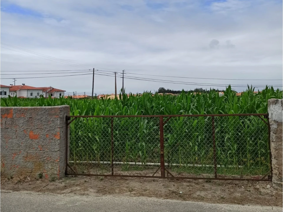 Terreno para Venda em Cacia Foto 2
