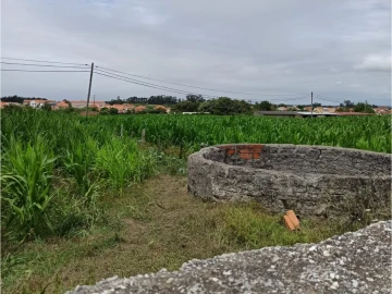 Terreno para Venda em Cacia