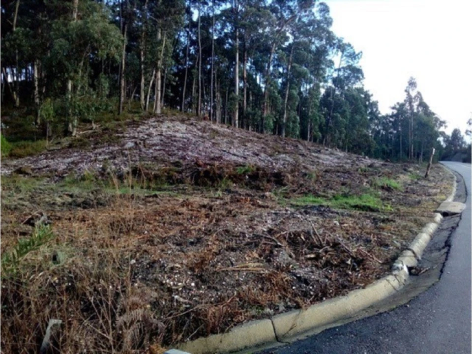 Terreno para Venda em Eixo e Eirol Foto 2