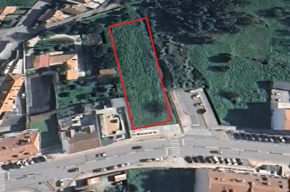 Terreno para Venda em Oliveira do Bairro