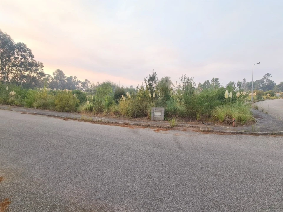 Terreno para Venda em Águeda e Borralha Foto 1