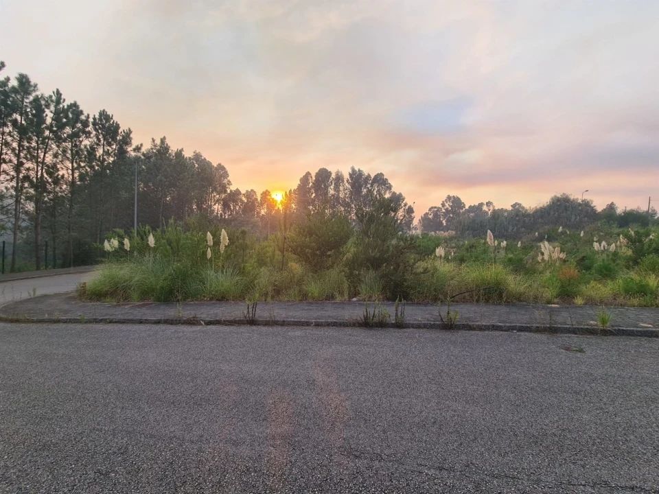 Terreno para Venda em Águeda e Borralha Foto 3
