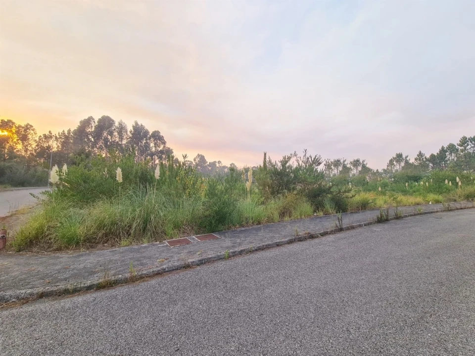 Terreno para Venda em Águeda e Borralha Foto 6