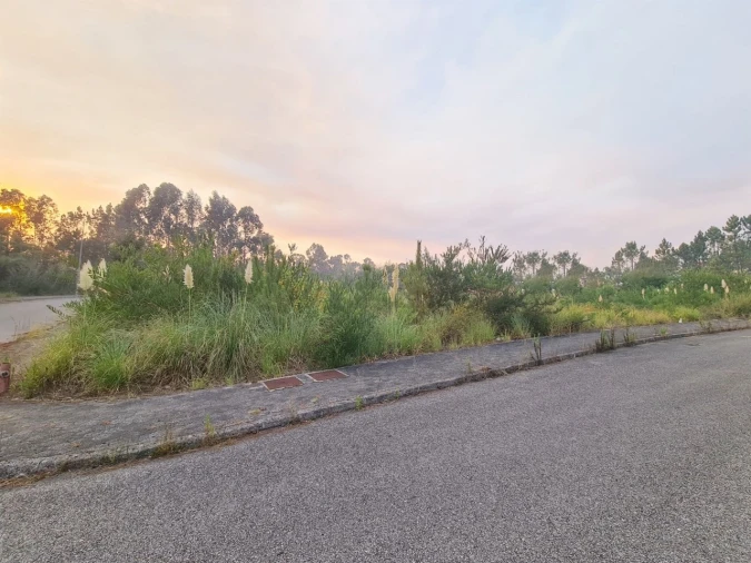 Terreno para Venda em Águeda e Borralha Foto 6