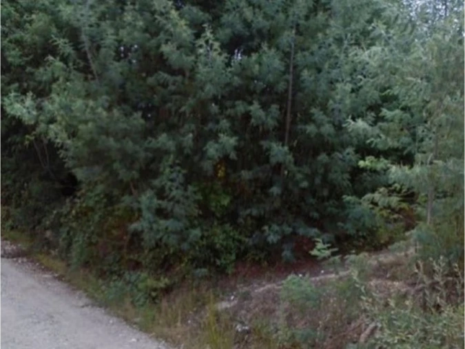 Terreno para Venda em Eixo e Eirol Foto 1