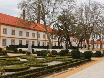 Terreno para Venda em Ílhavo (São Salvador)