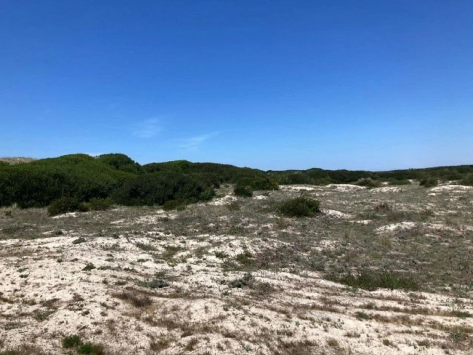 Terreno para Venda em São Jacinto Foto 10