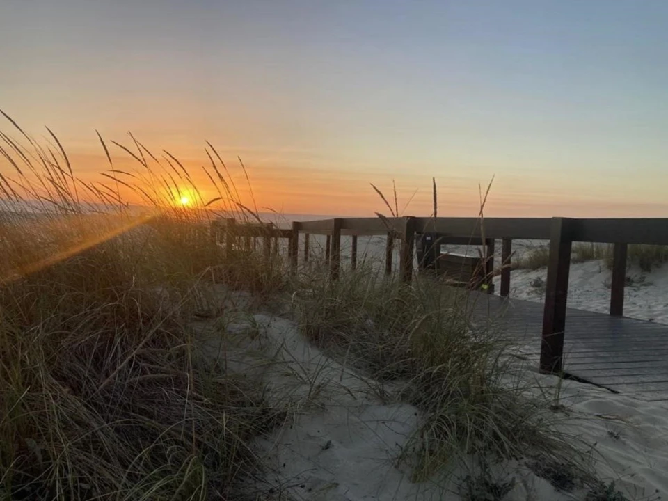 Terreno para Venda em São Jacinto Foto 14
