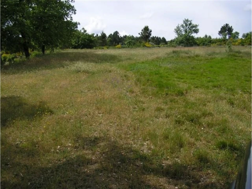 Terreno para Venda em São Jacinto Foto 7