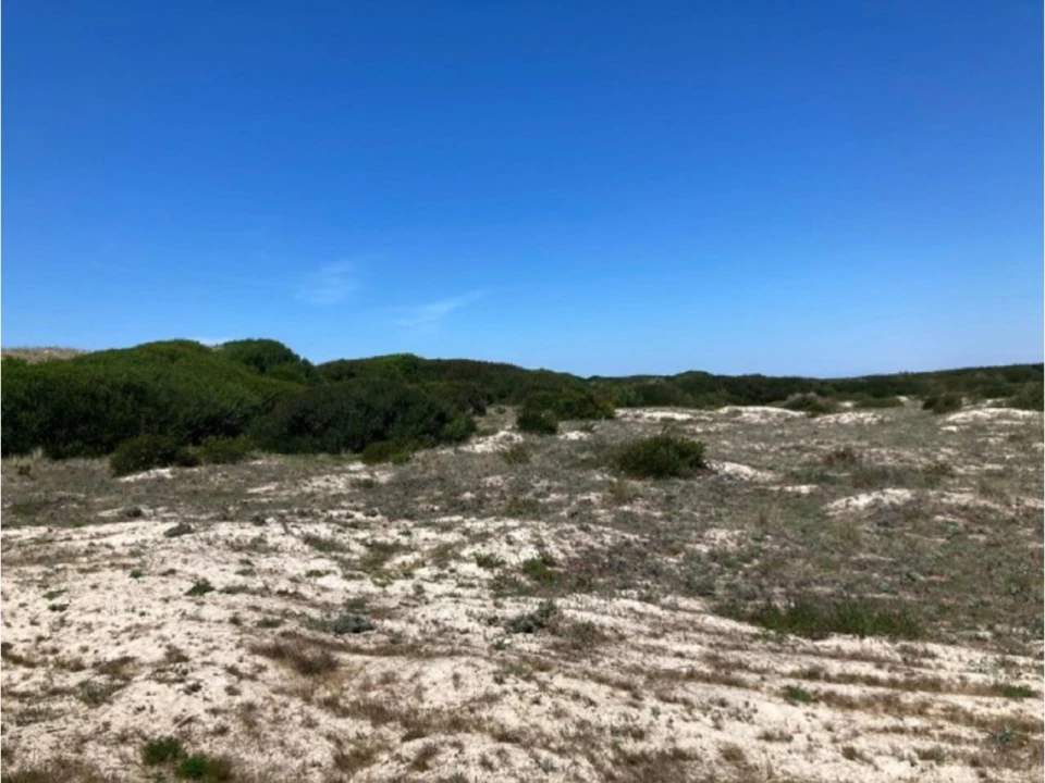 Terreno para Venda em São Jacinto Foto 9