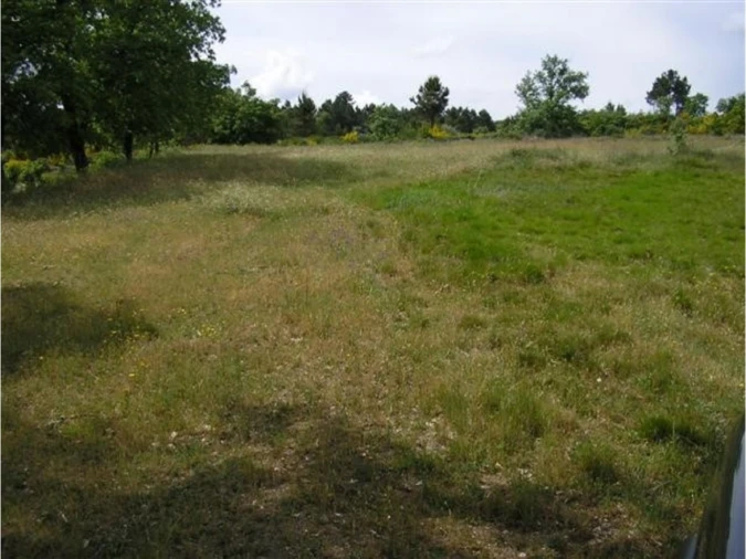 Terreno para Venda em São Jacinto Foto 7