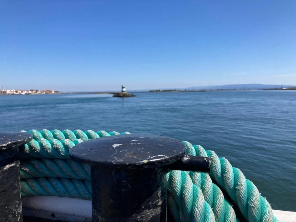 Terreno para Venda em São Jacinto Foto 6