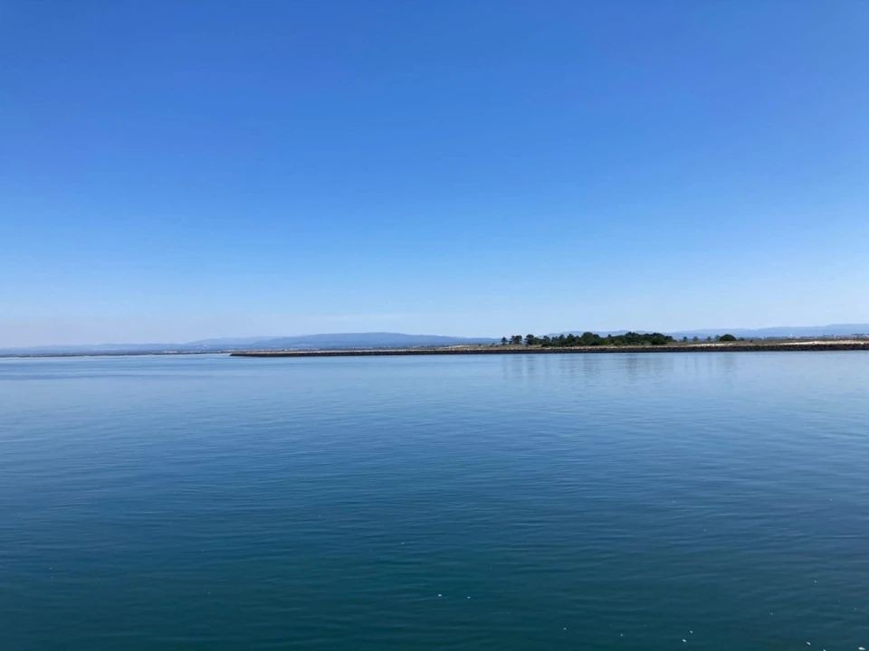 Terreno para Venda em São Jacinto Foto 8