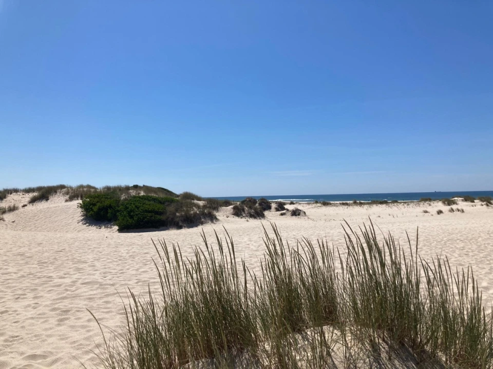 Terreno para Venda em São Jacinto Foto 10