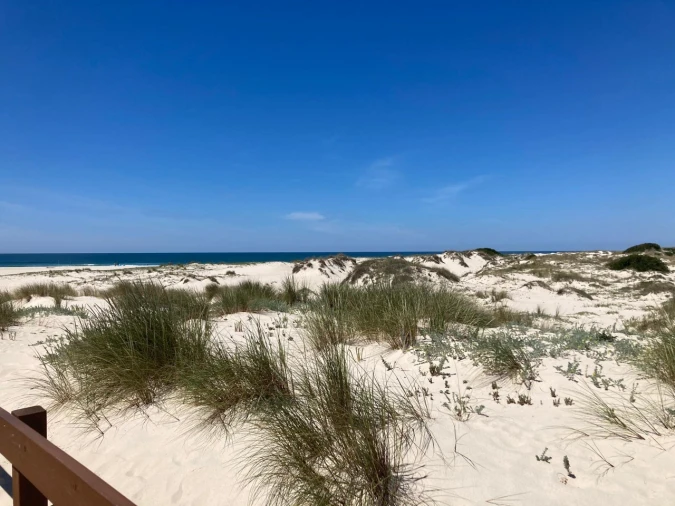 Terreno para Venda em São Jacinto Foto 2