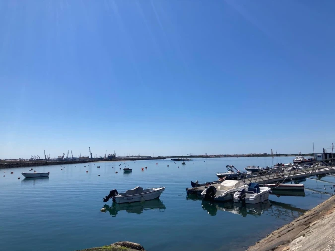 Terreno para Venda em São Jacinto Foto 4
