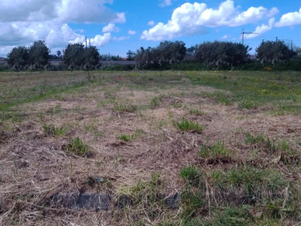 Terreno para Venda em São Bernardo Foto 5