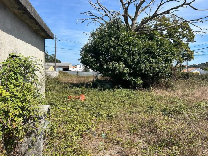 Terreno para Venda em Santa Joana