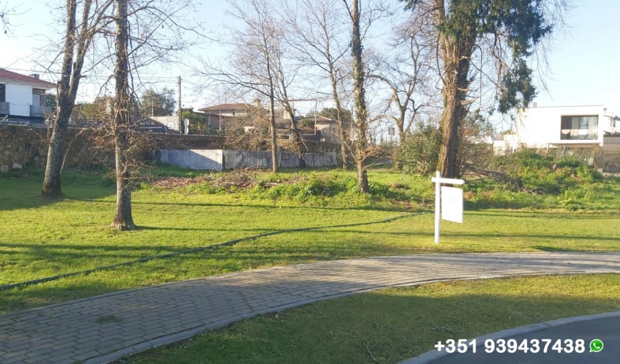 Terreno para Venda em Palmeira Foto 13