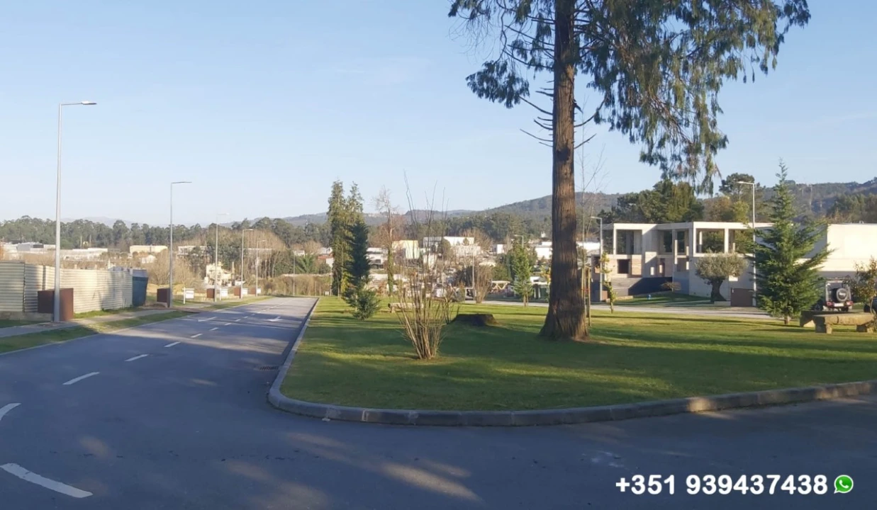 Terreno para Venda em Palmeira Foto 18