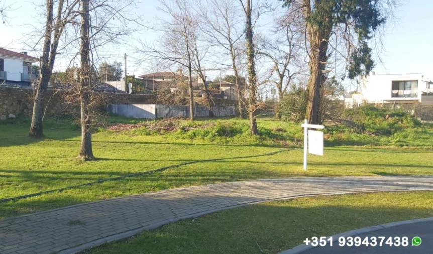 Terreno para Venda em Palmeira Foto 13