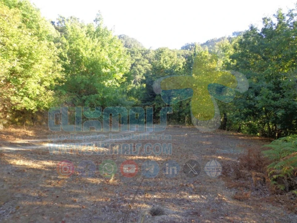 Terreno para Venda em Louredo Foto 6