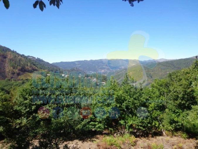 Terreno para Venda em Louredo Foto 2