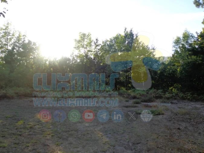 Terreno para Venda em Louredo Foto 5