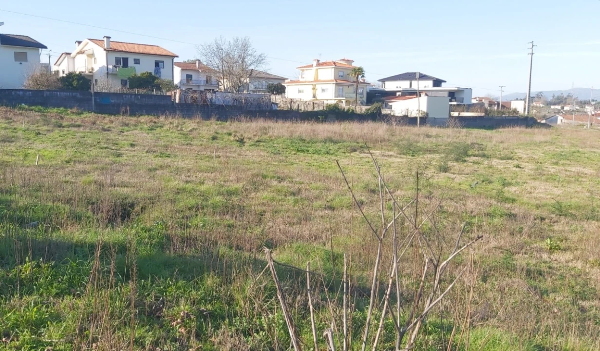 Terreno para Venda em Palmeira Foto 6