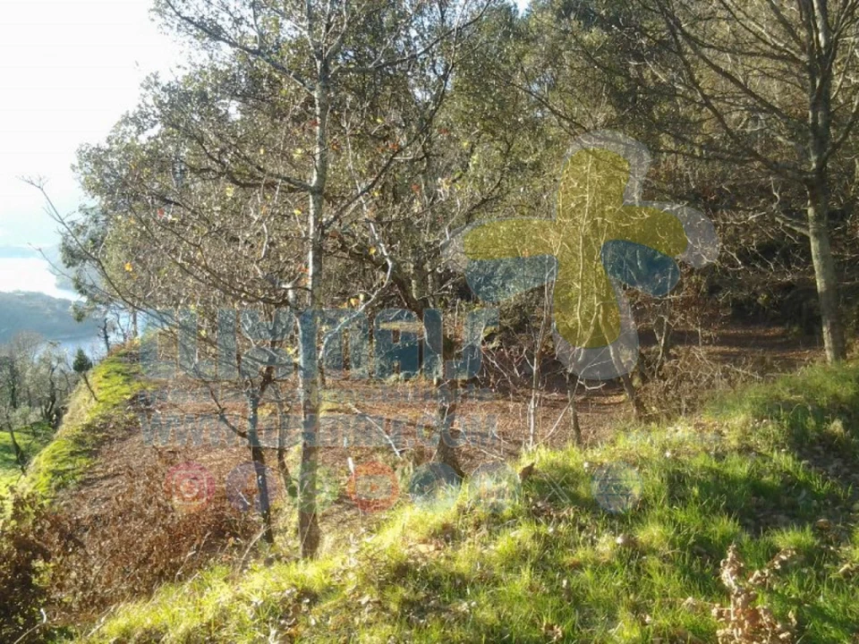 Terreno para Venda em Louredo Foto 4